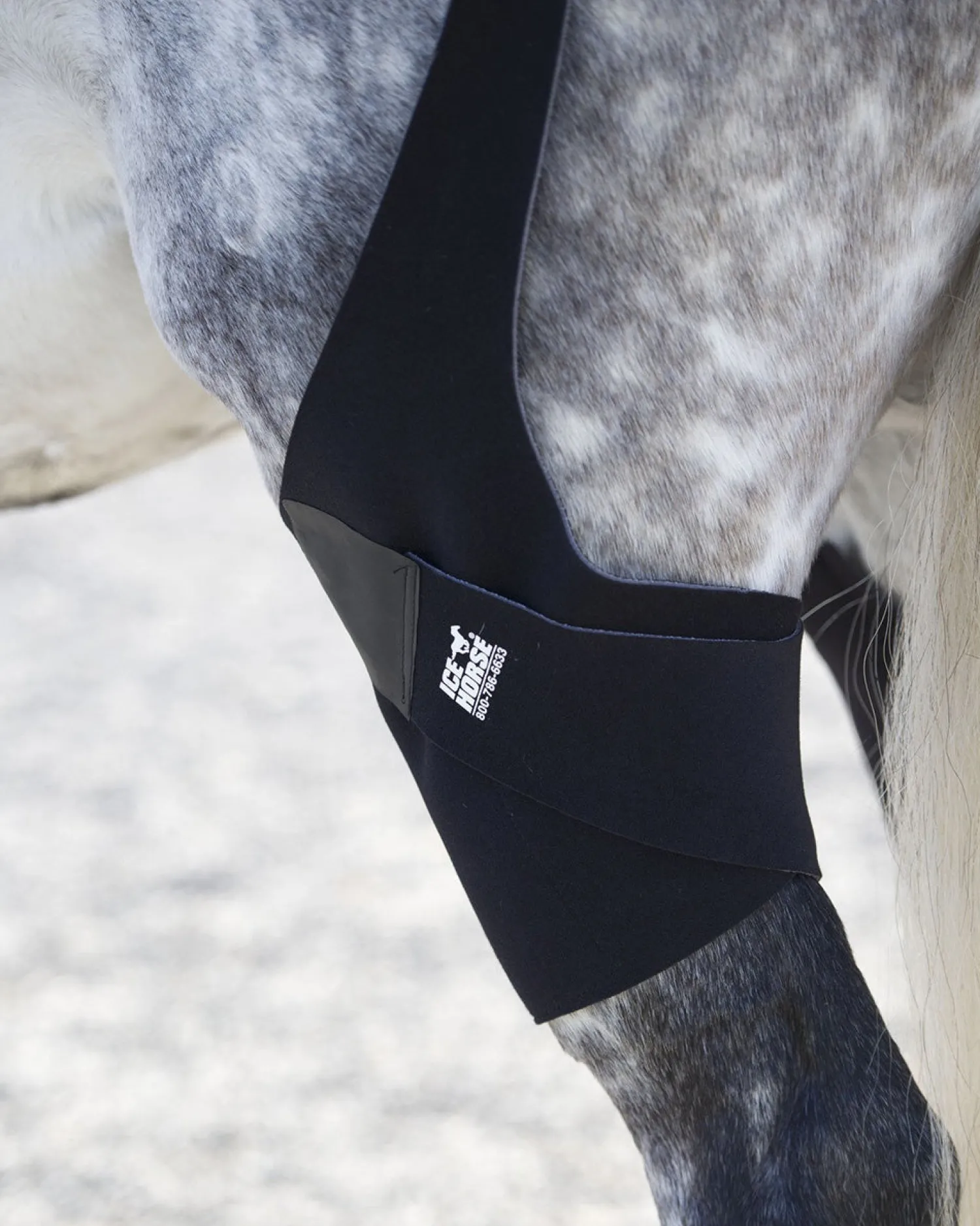 Online MACKINNON Ice Horse® Pony Stifle Wraps – Pair