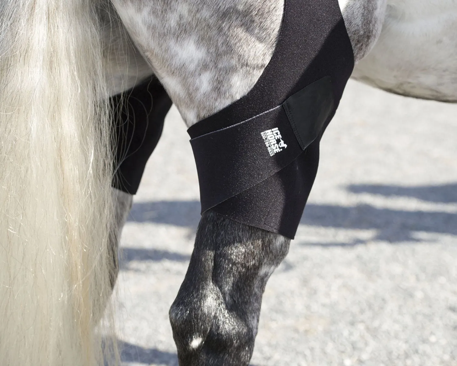 Online MACKINNON Ice Horse® Pony Stifle Wraps – Pair