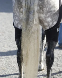 Online MACKINNON Ice Horse® Pony Stifle Wraps – Pair