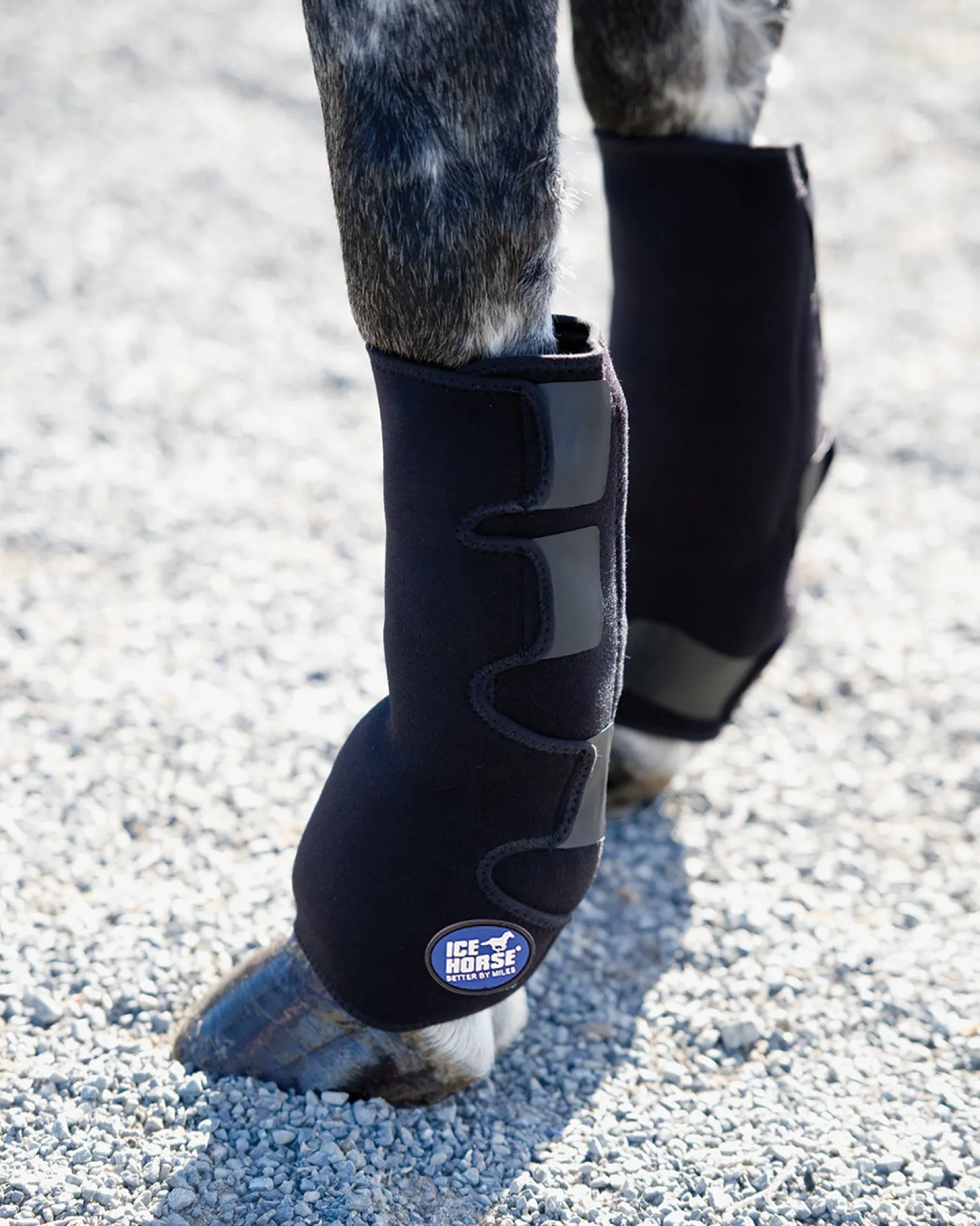 New MACKINNON Ice Horse® Pony Suspensory Wrap - Pair