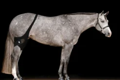 Sale MACKINNON Ice Horse® Stifle Wraps