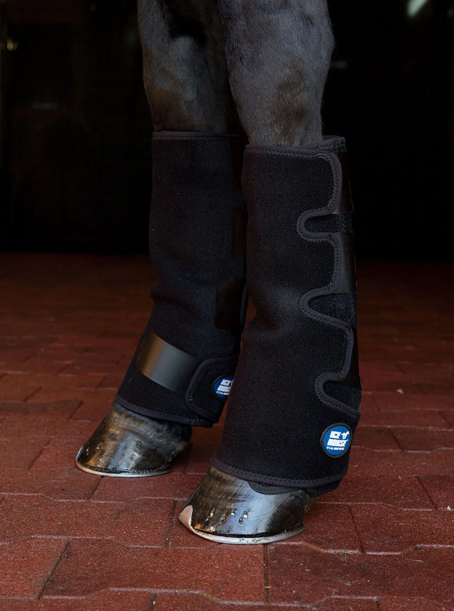 Sale MACKINNON Ice Horse® Suspensory Wraps