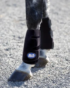 Best MACKINNON Ice Horse® Tendon Wrap, Single Black