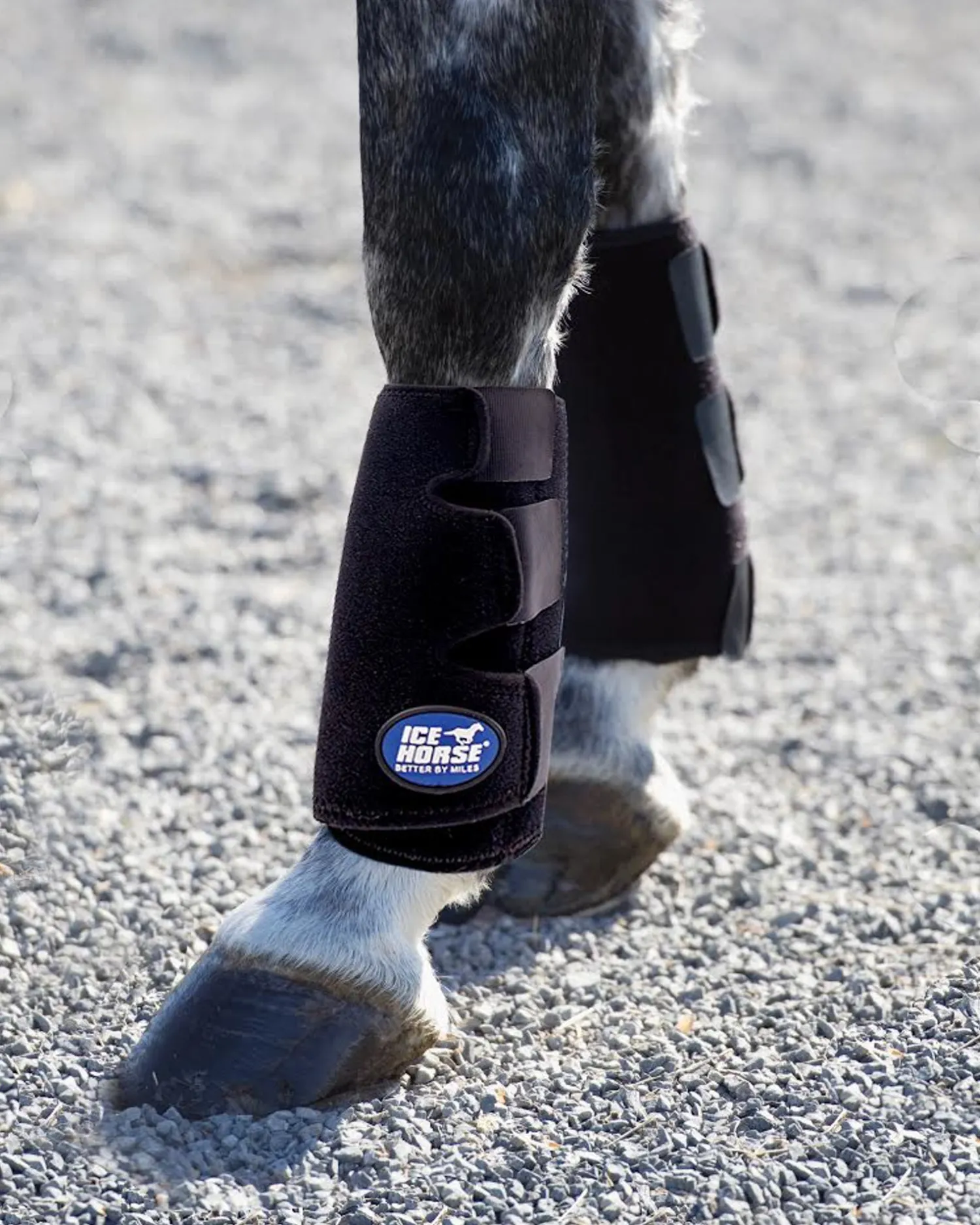 New MACKINNON Ice Horse® Tendon Wraps, Pair Black