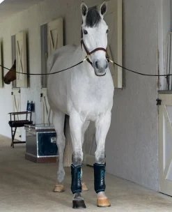 Discount HORSEWARE ICE-VIBE Boots Black