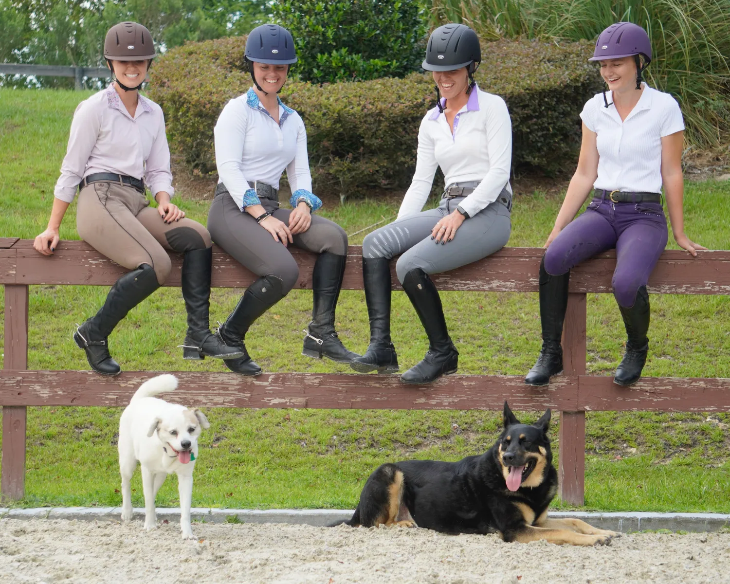 Discount INT RIDING HELMET IRH® Equi-Pro Helmet with Sun Visor