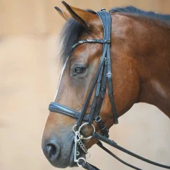 PEP-KAVALKADE Ivonne Convertible Bridle Black/Black