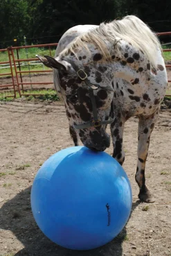 New HORSEMEN S PRIDE Jolly Mega Ball Blue