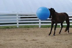 New HORSEMEN S PRIDE Jolly Mega Ball Blue