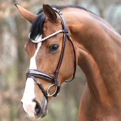Discount PEP-KAVALKADE Kavalkade Florina Bridle Dark Brown Patent