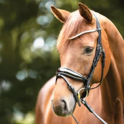 Hot PEP-KAVALKADE Kavalkade Princess Browband