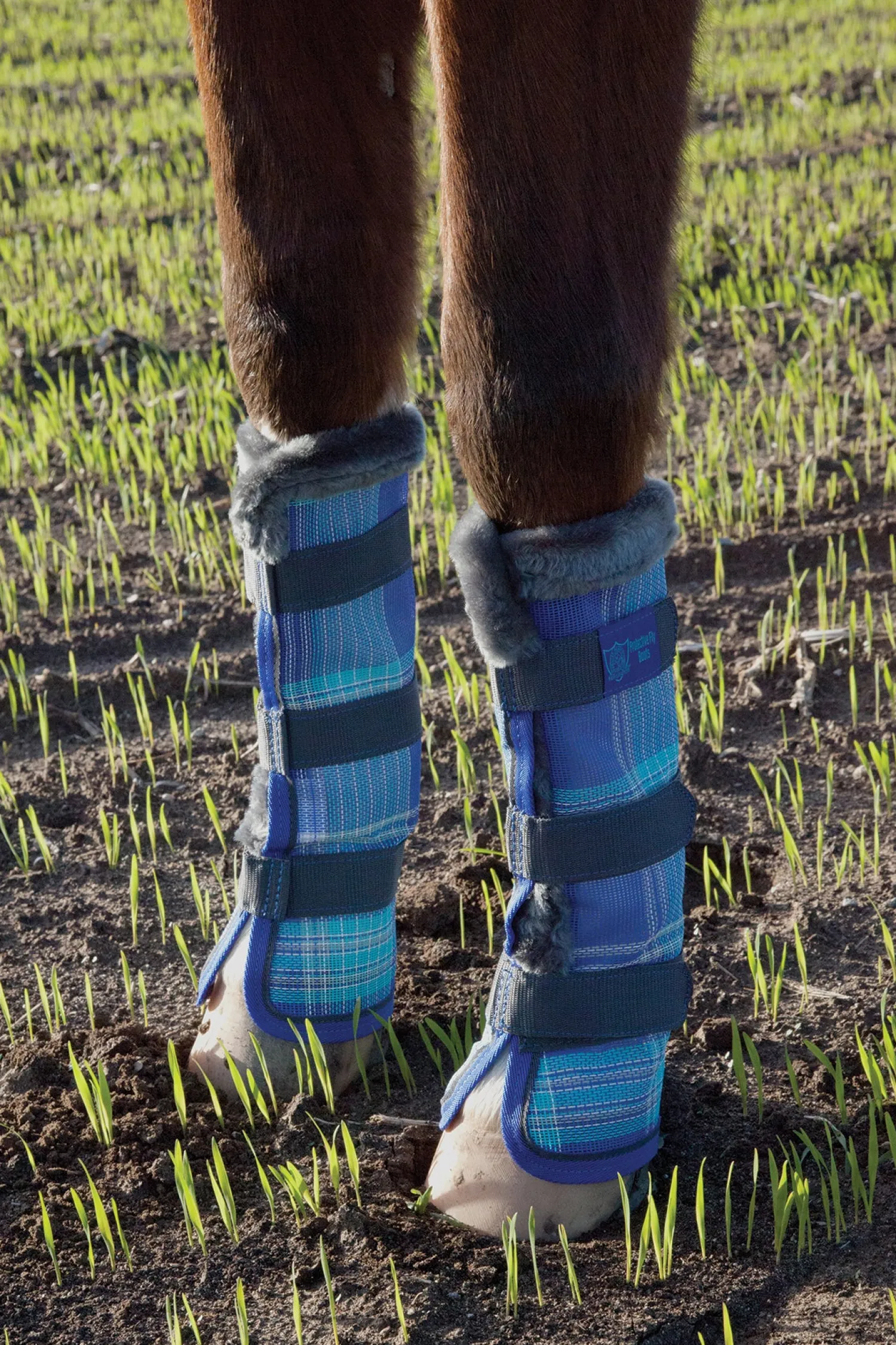 Outlet KENSINGTON ™ Fly Boots with Fleece Trim (Pair)