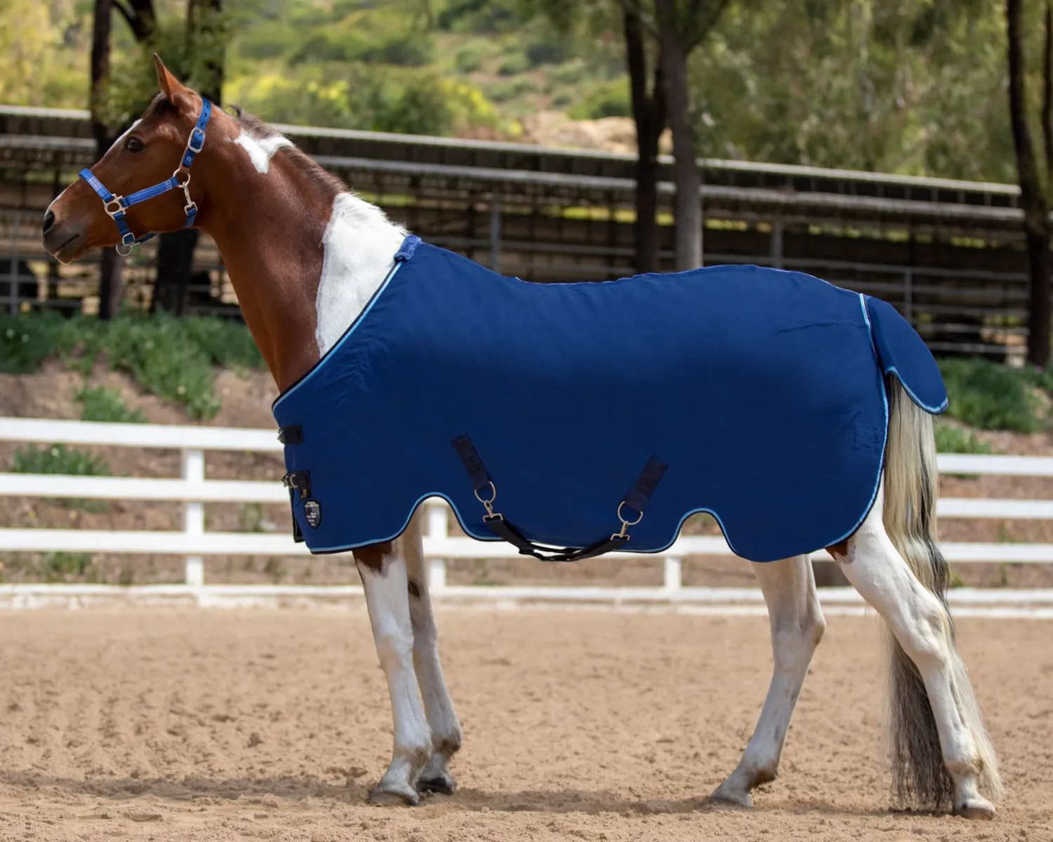 Hot KENSINGTON ™ Pony Poly Cotton Stable Sheet SureFit®