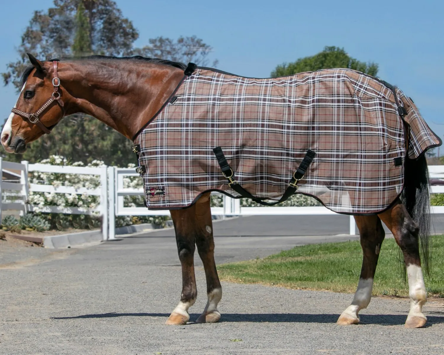 Clearance KENSINGTON ™ Pony Protective Sheet SureFit®
