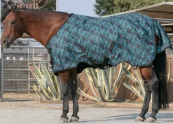 Sale KENSINGTON ™ Pony Signature Medium Weight Turnout Blanket