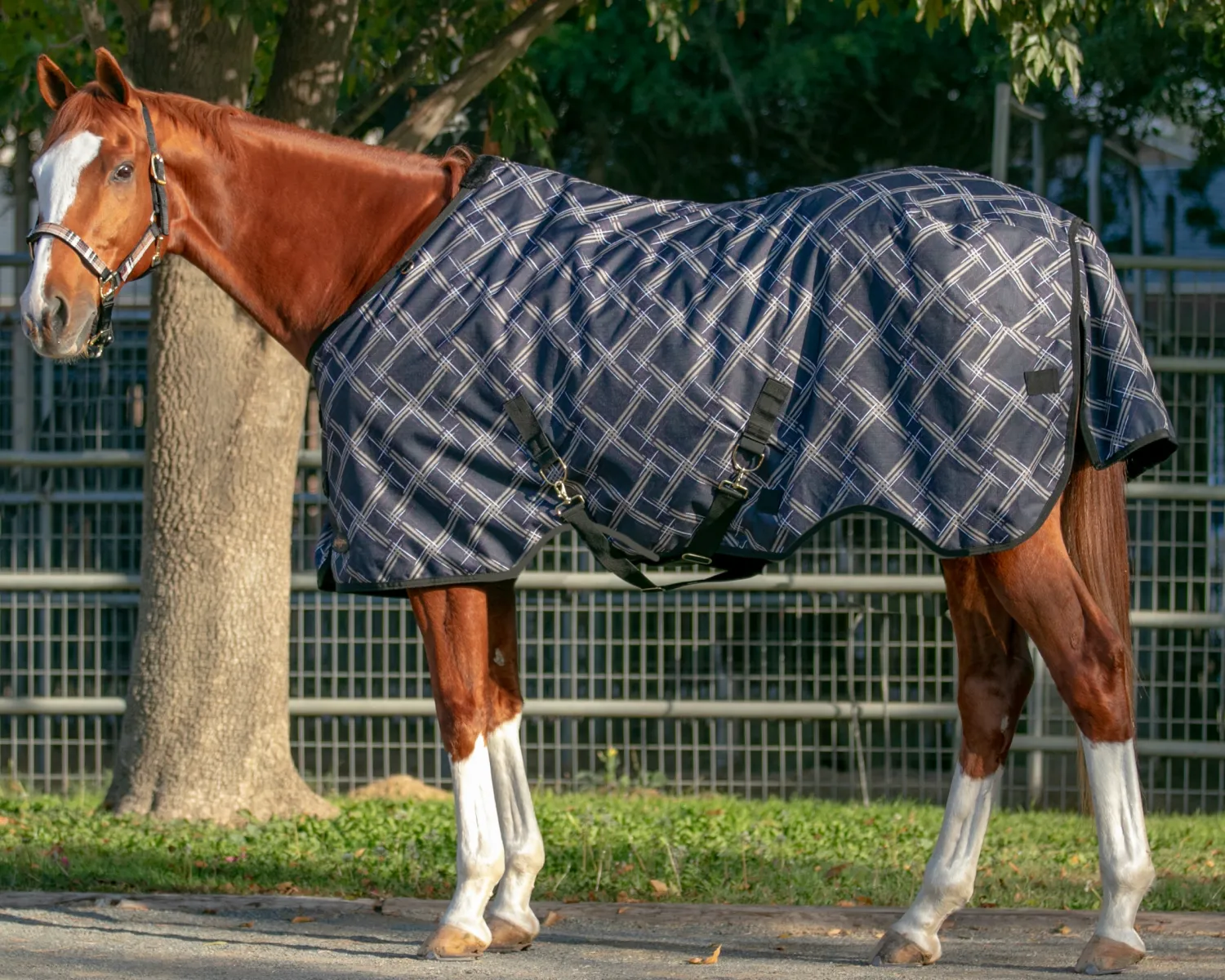 Sale KENSINGTON ™ Pony Signature Medium Weight Turnout Blanket