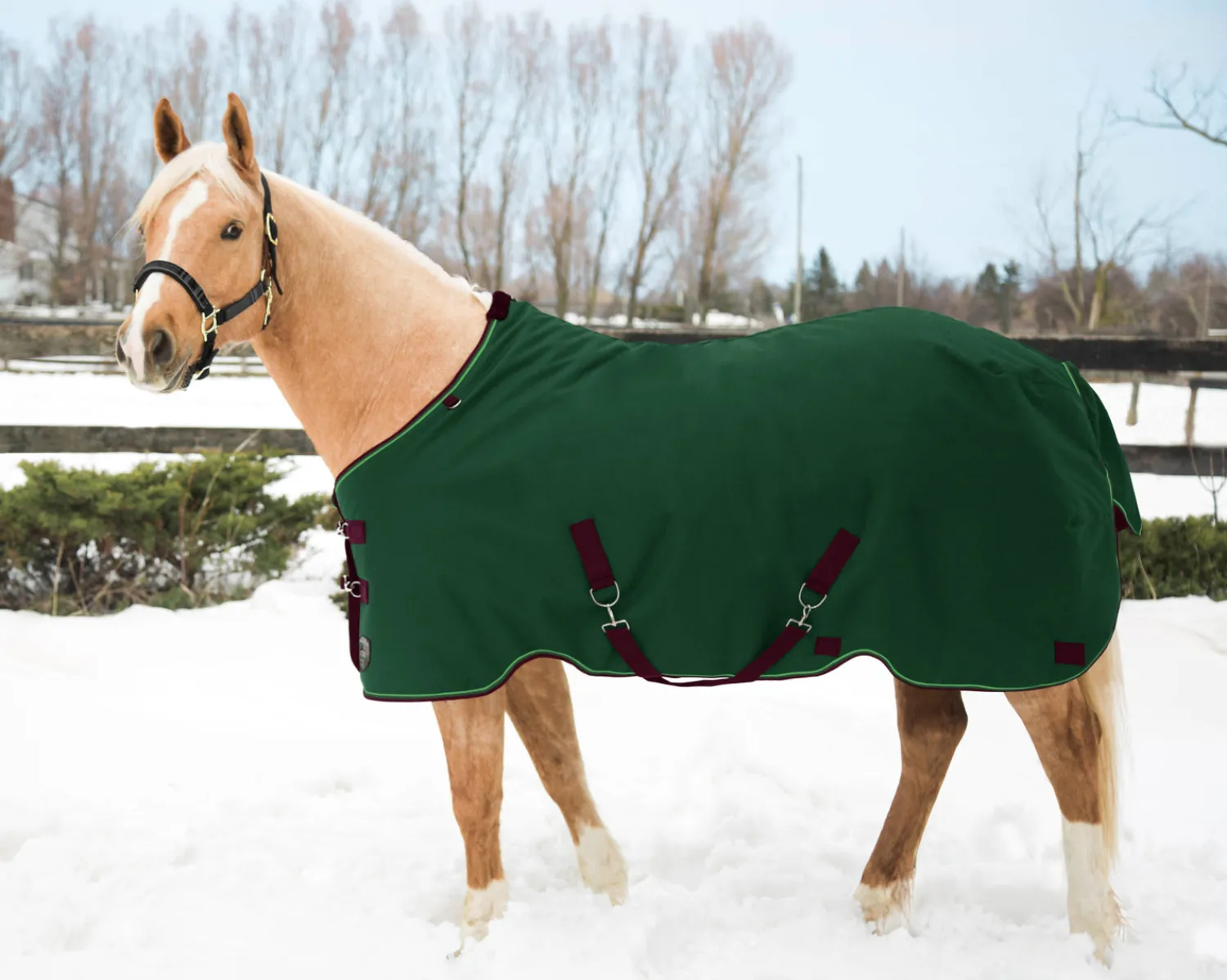 Sale KENSINGTON ™ Pony Signature Medium Weight Turnout Blanket