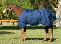 Sale KENSINGTON ™ Pony Signature Medium Weight Turnout Blanket