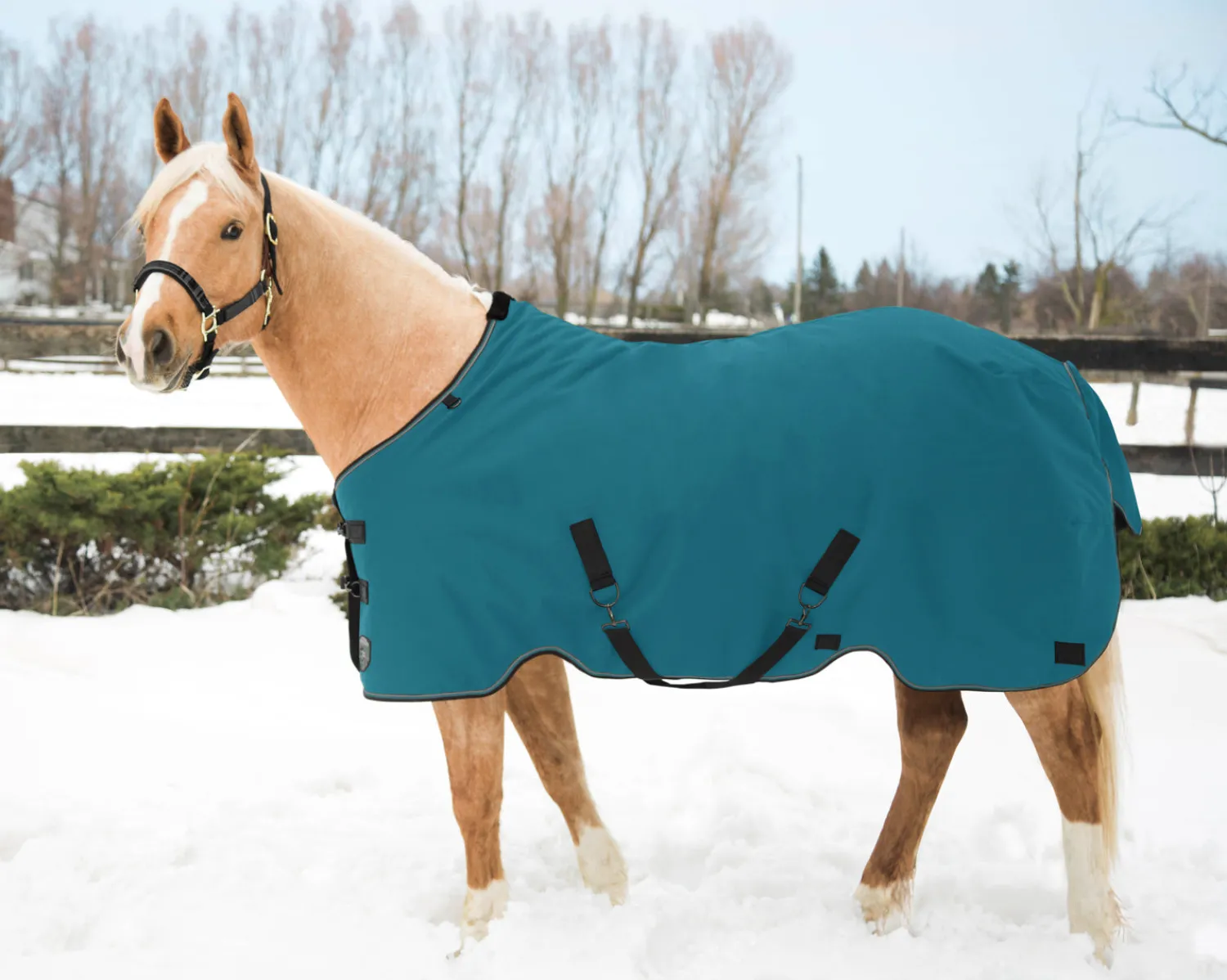 Sale KENSINGTON ™ Pony Signature Medium Weight Turnout Blanket