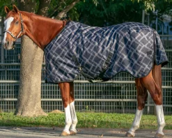 Clearance KENSINGTON ™ Pony Signature Heavyweight Turnout Blanket