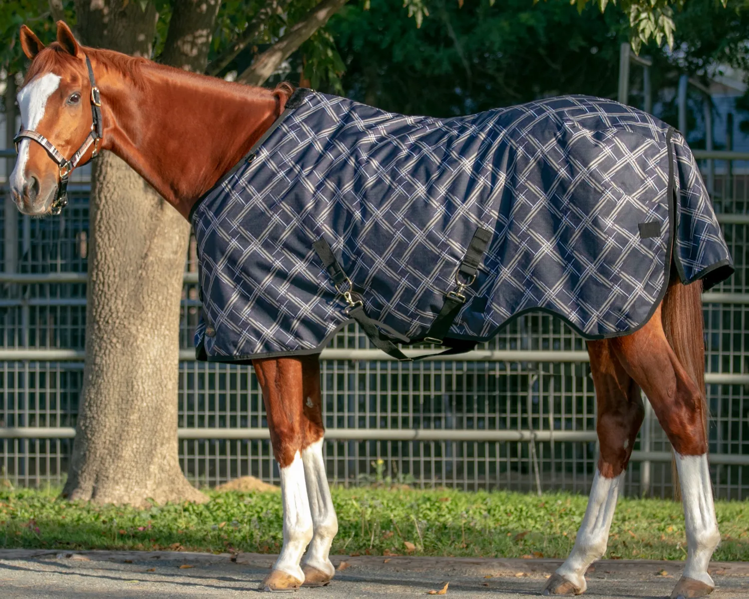 Clearance KENSINGTON ™ Pony Signature Heavyweight Turnout Blanket