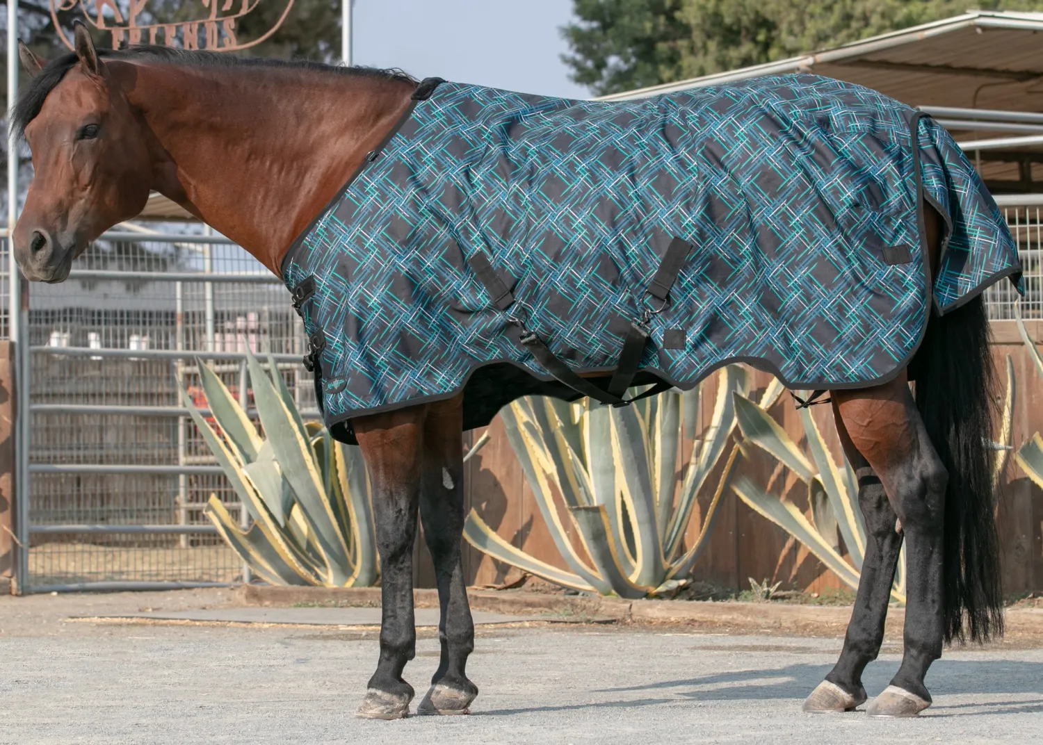 Clearance KENSINGTON ™ Pony Signature Heavyweight Turnout Blanket