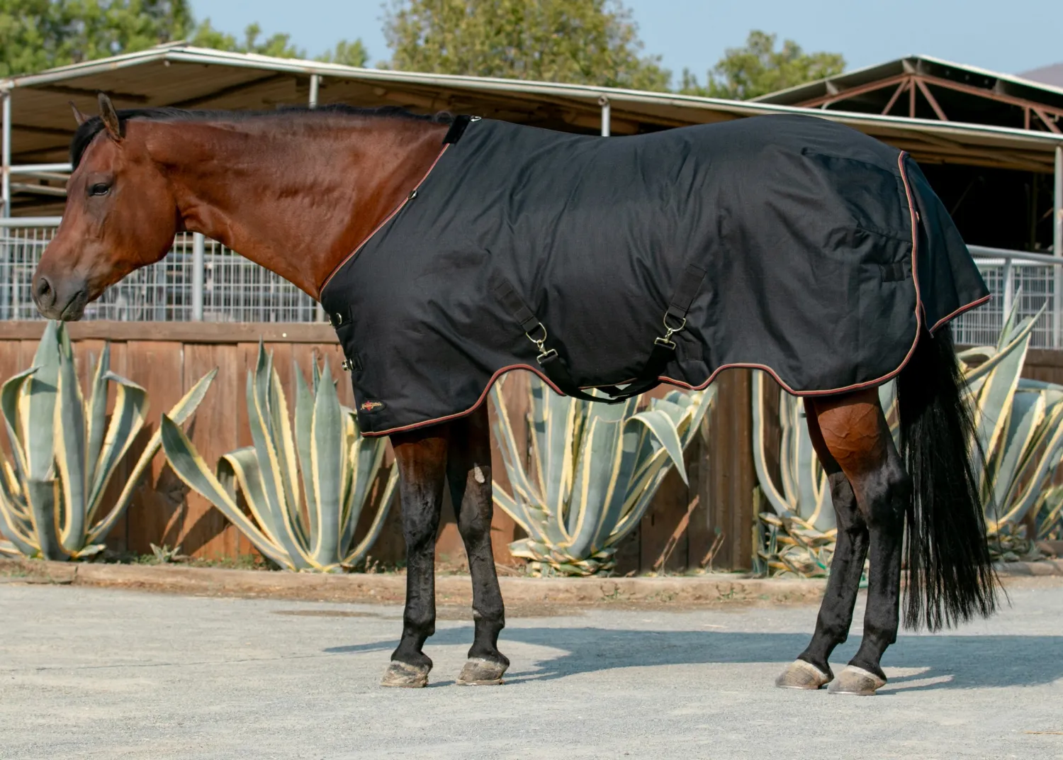 Clearance KENSINGTON ™ Pony Signature Heavyweight Turnout Blanket