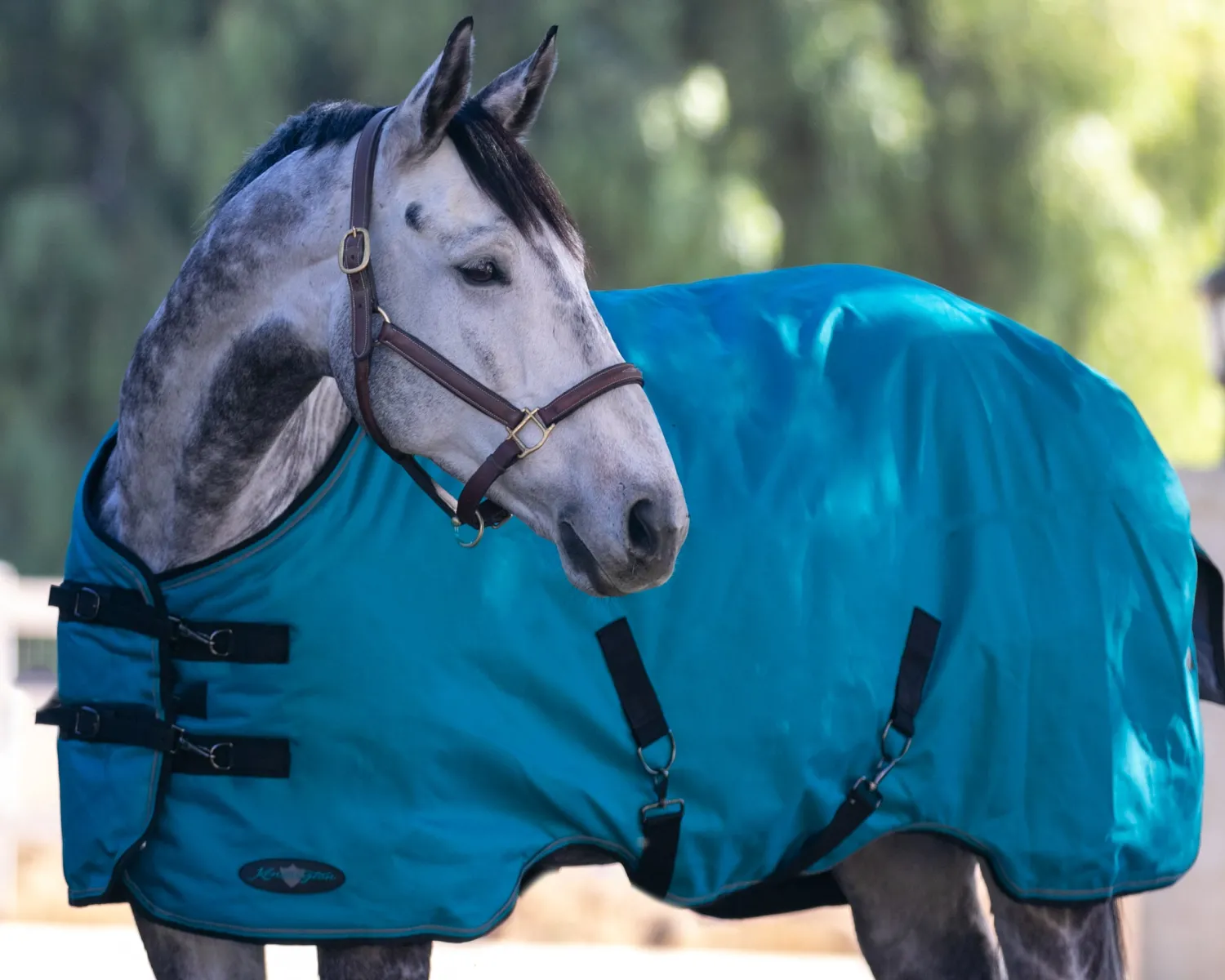 Clearance KENSINGTON ™ Pony Signature Heavyweight Turnout Blanket
