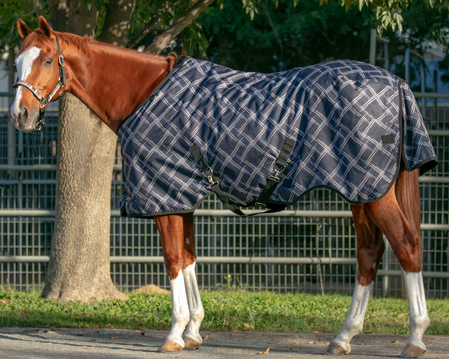 New KENSINGTON ™ Pony Signature Lightweight Turnout Blanket