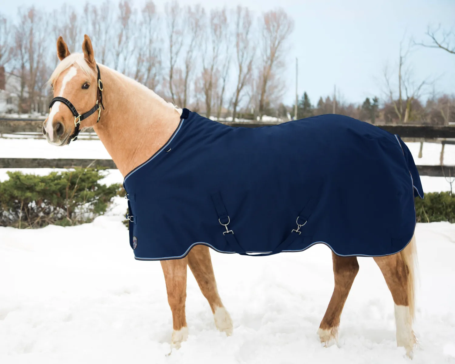 New KENSINGTON ™ Pony Signature Lightweight Turnout Blanket