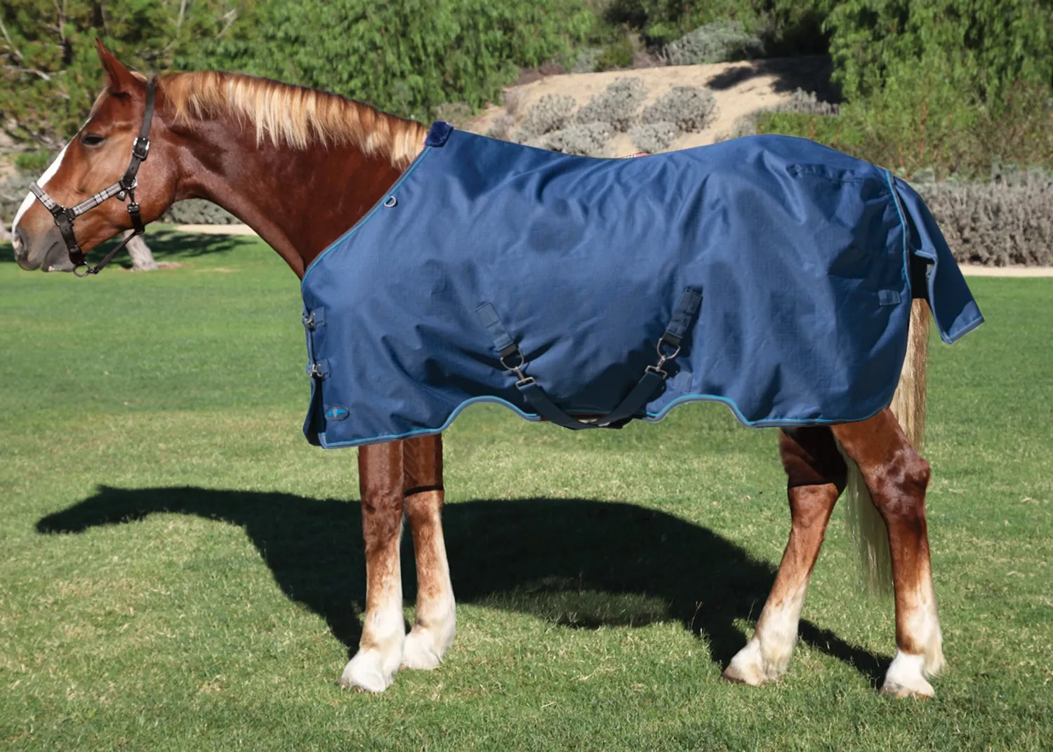 New KENSINGTON ™ Pony Signature Lightweight Turnout Blanket
