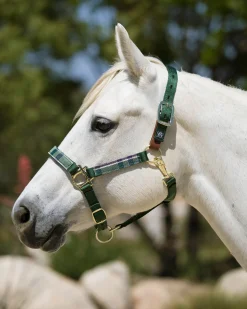 Clearance KENSINGTON ™ Premium Breakaway Halter