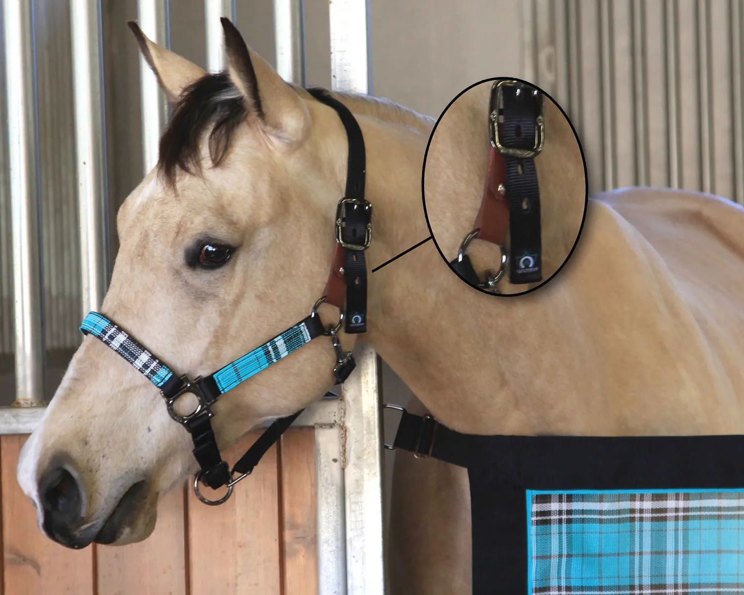 Clearance KENSINGTON ™ Premium Breakaway Halter