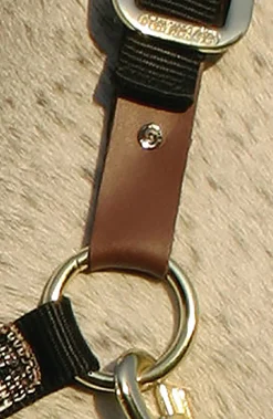 Clearance KENSINGTON ™ Premium Breakaway Halter
