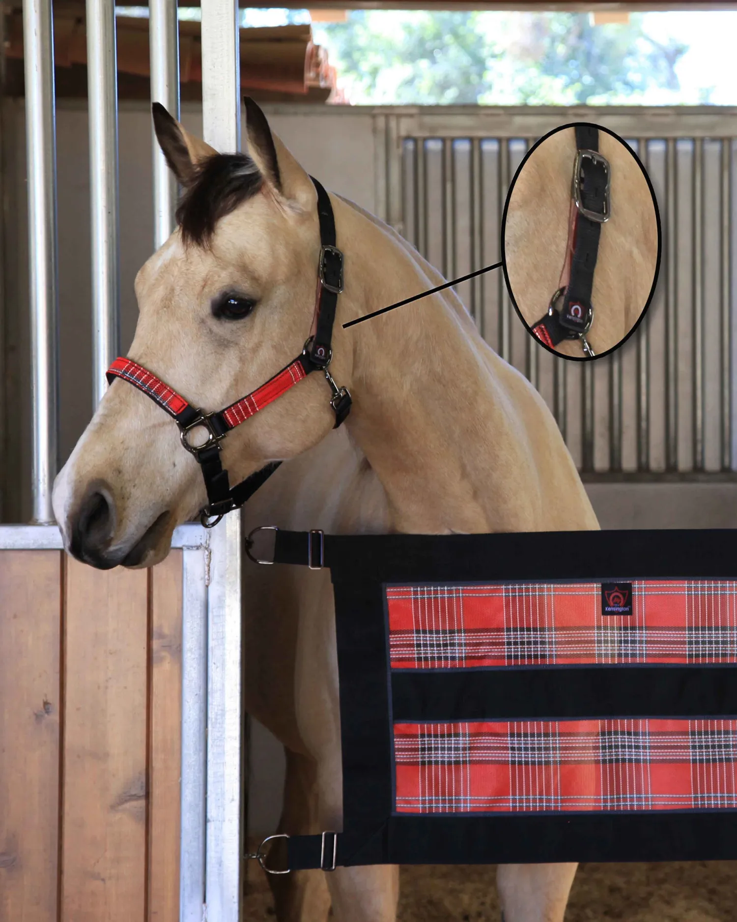 Clearance KENSINGTON ™ Premium Breakaway Halter