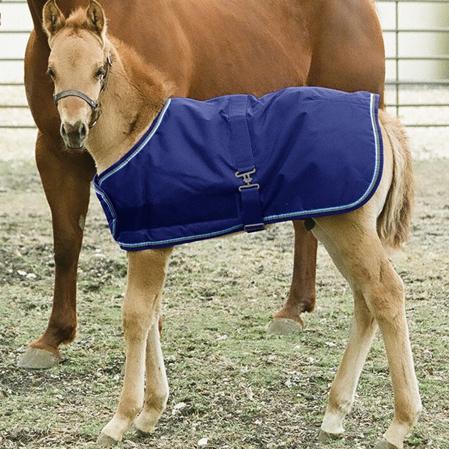 Online KENSINGTON ™ Signature Adjustable Large Foal Turnout