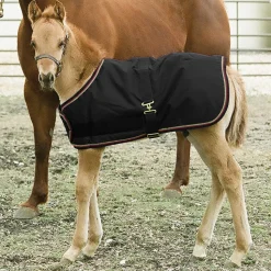 Online KENSINGTON ™ Signature Adjustable Large Foal Turnout