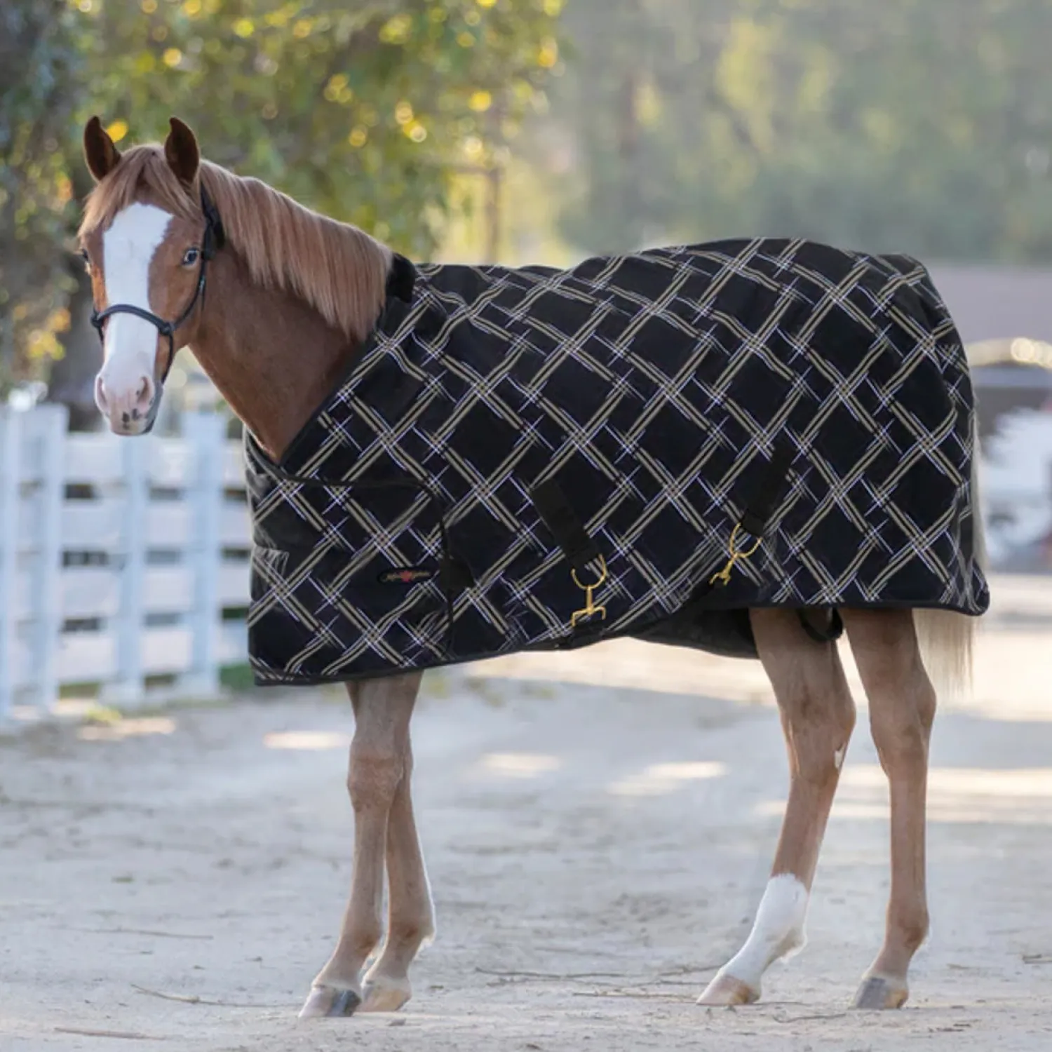 Outlet KENSINGTON ™ Signature Adjustable Yearling Turnout Blanket