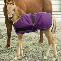 Clearance KENSINGTON ™ Signature Adjustable Small Foal Turnout Blanket