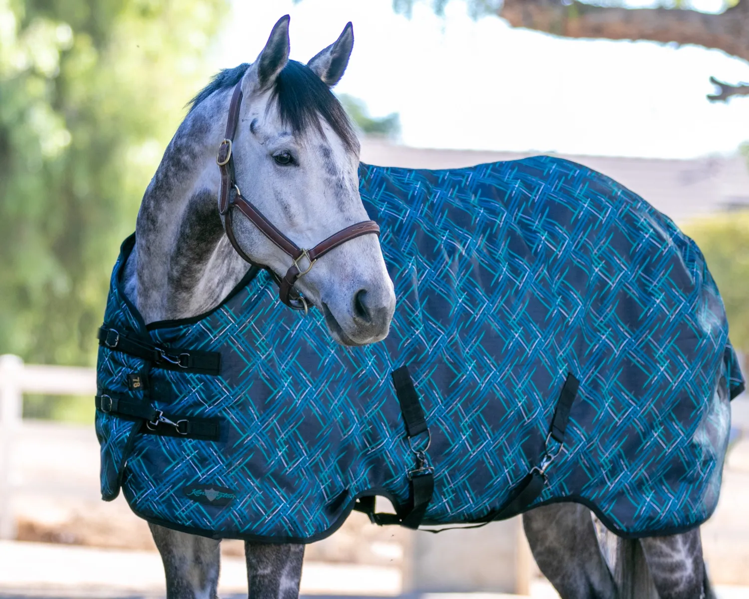 KENSINGTON ™ Signature Medium-Weight Turnout Blanket