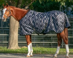 KENSINGTON ™ Signature Medium-Weight Turnout Blanket