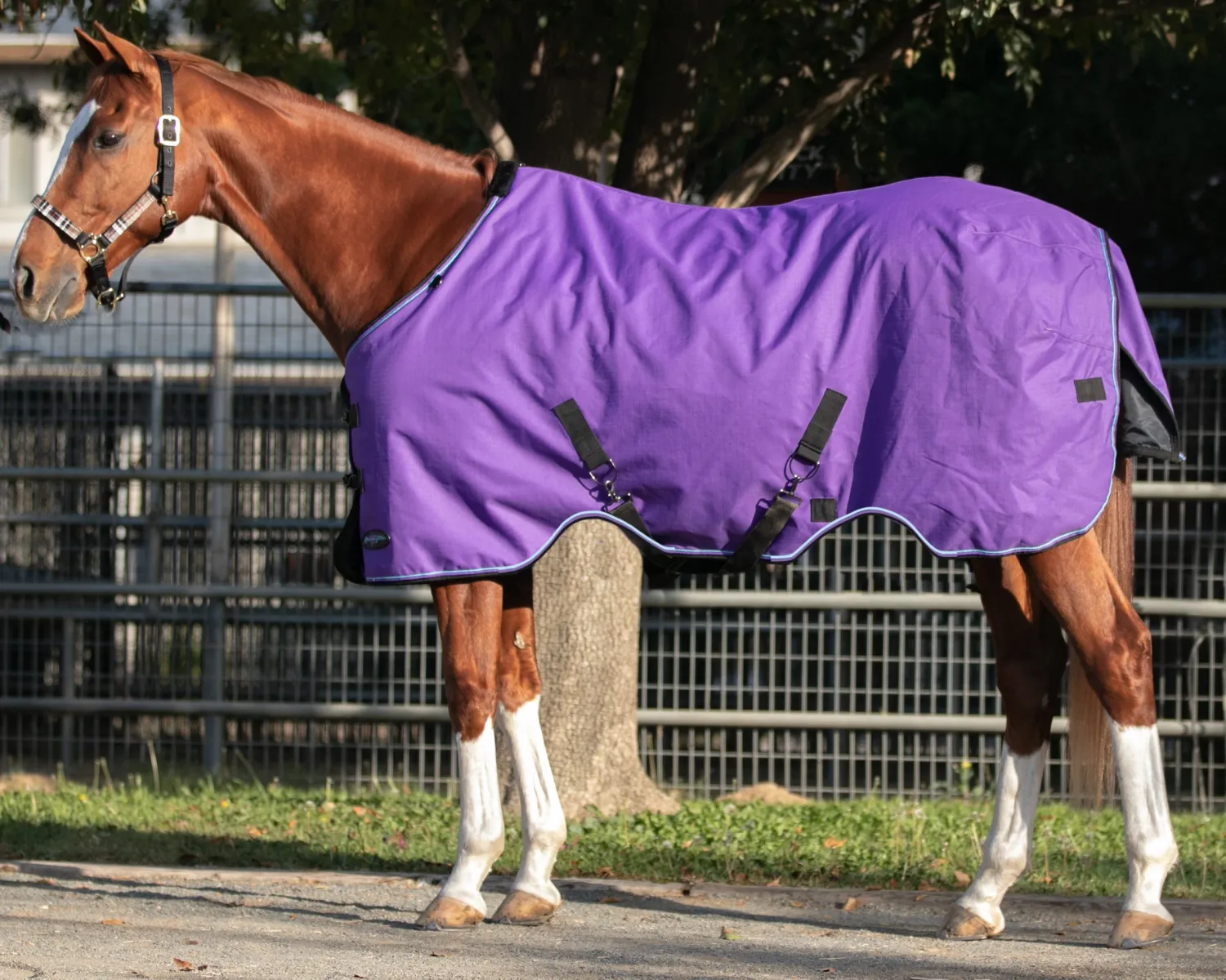 KENSINGTON ™ Signature Medium-Weight Turnout Blanket