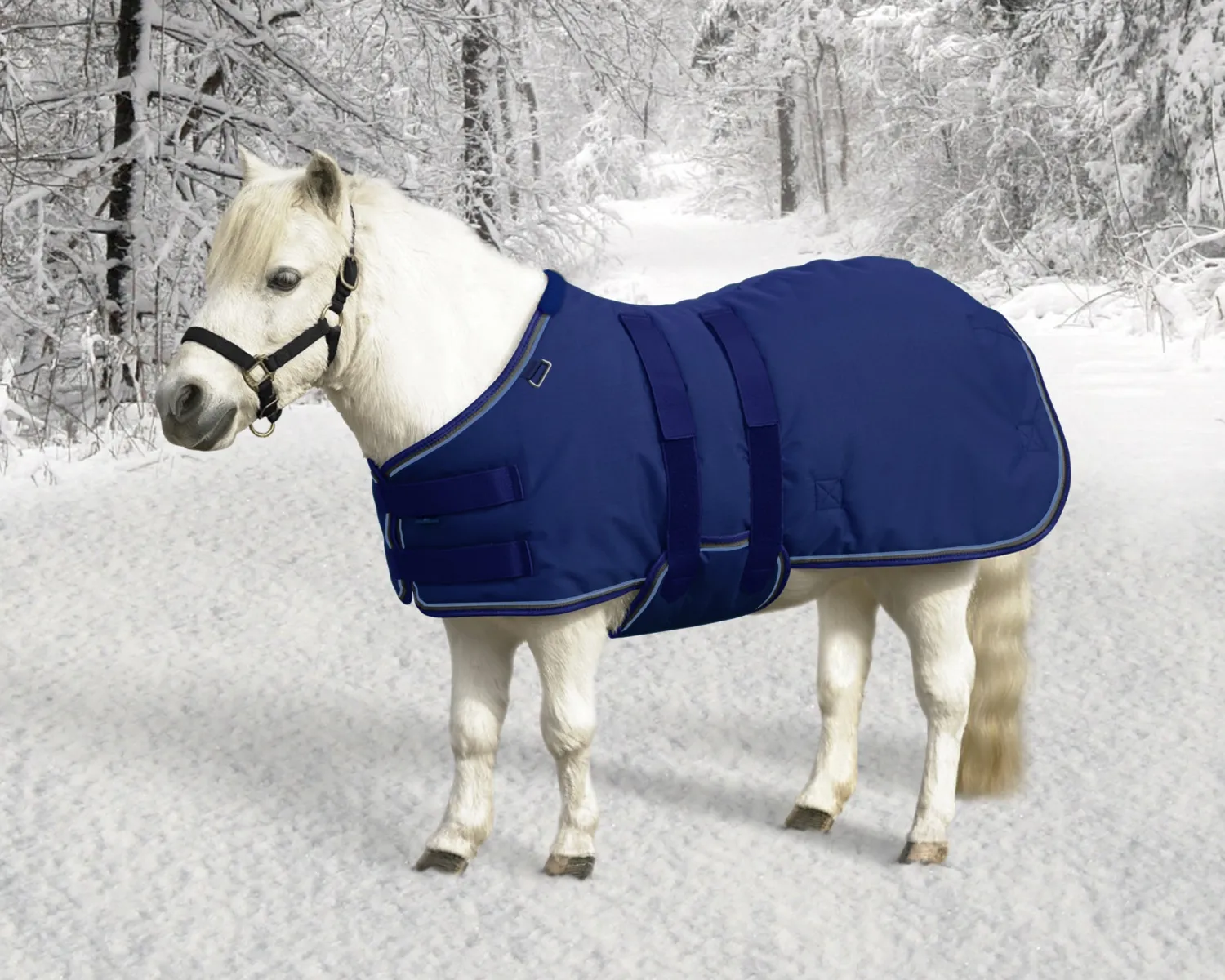 Sale KENSINGTON ™ Signature Mini Heavyweight Turnout Blanket