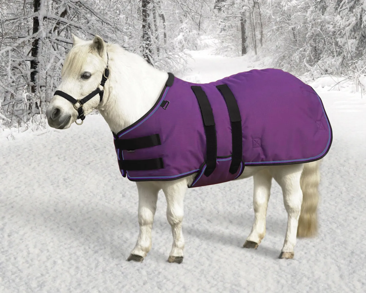 Sale KENSINGTON ™ Signature Mini Heavyweight Turnout Blanket