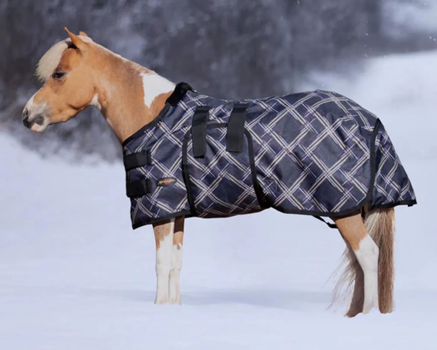 Hot KENSINGTON ™ Signature Mini Lightweight Turnout Blanket