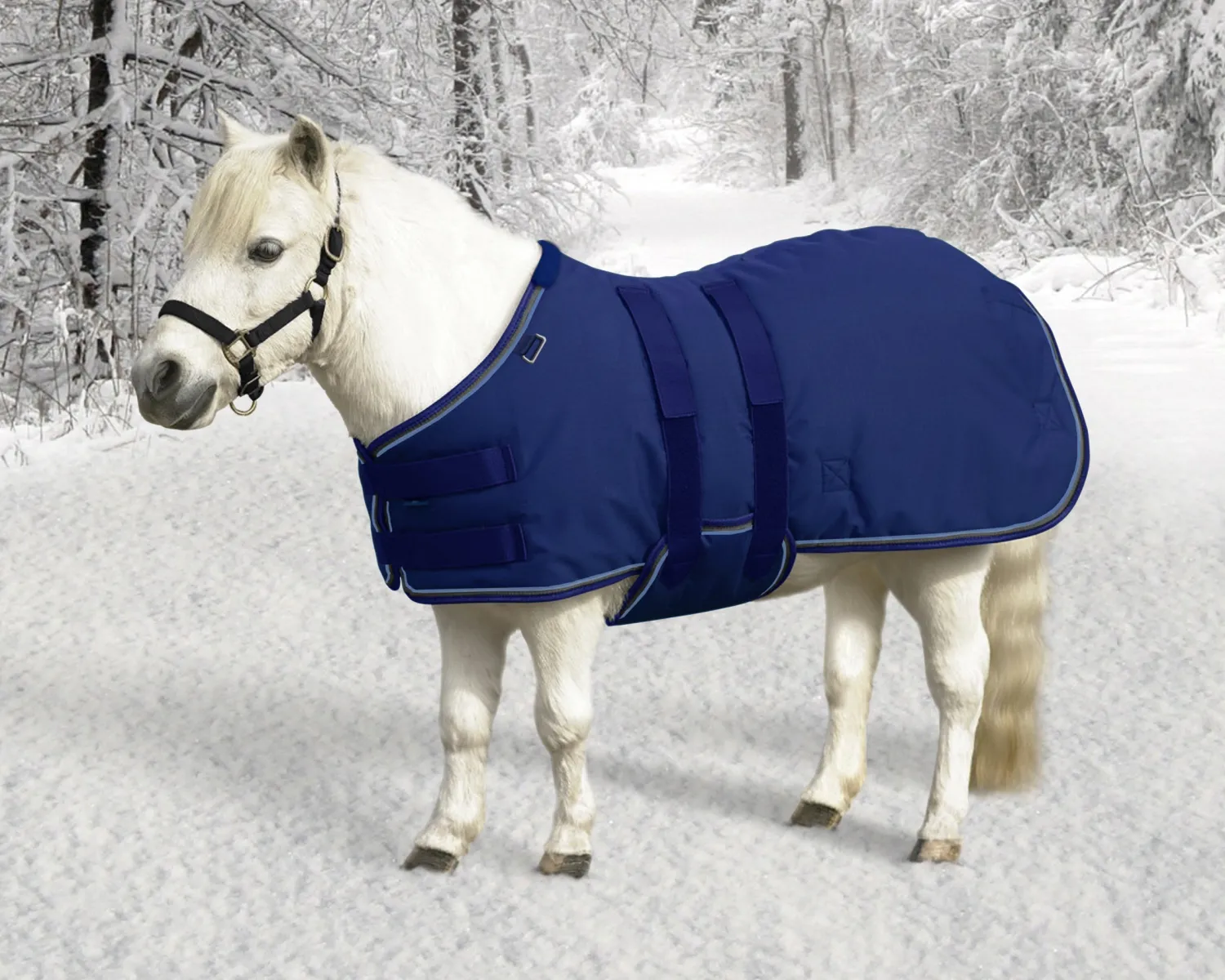 Hot KENSINGTON ™ Signature Mini Lightweight Turnout Blanket