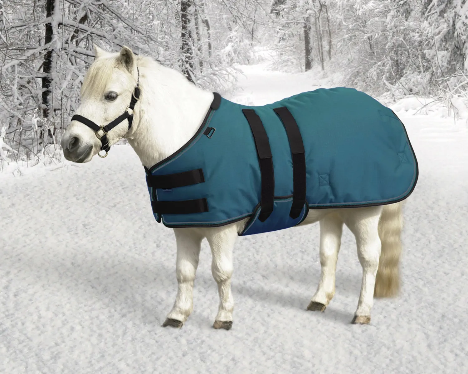 Hot KENSINGTON ™ Signature Mini Lightweight Turnout Blanket
