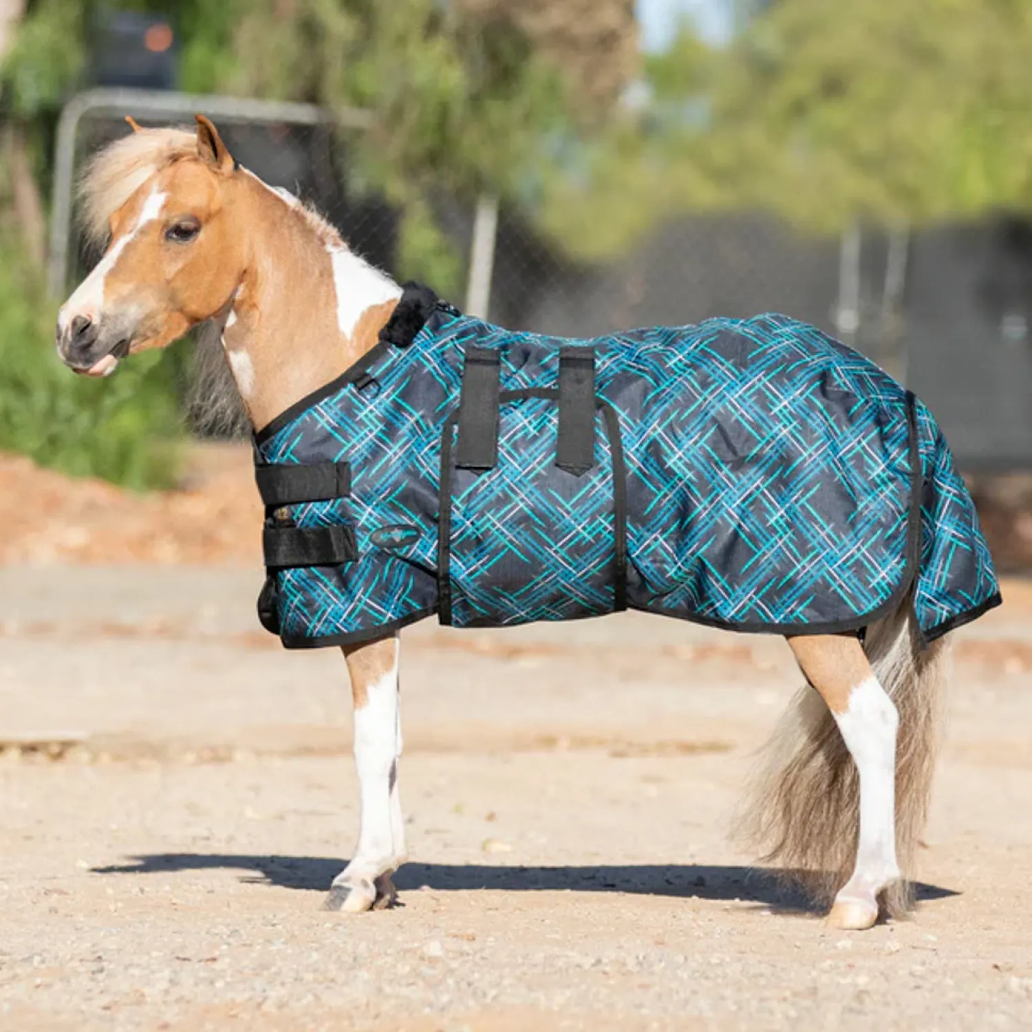 Hot KENSINGTON ™ Signature Mini Lightweight Turnout Blanket