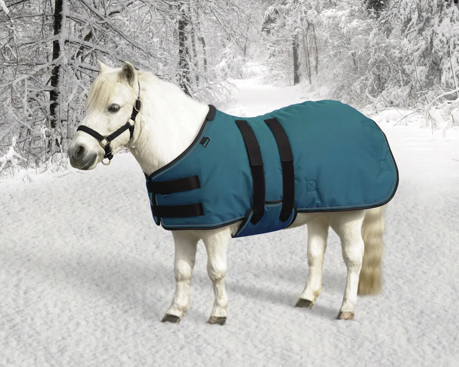 KENSINGTON ™ Signature Mini Medium-Weight Turnout Blanket