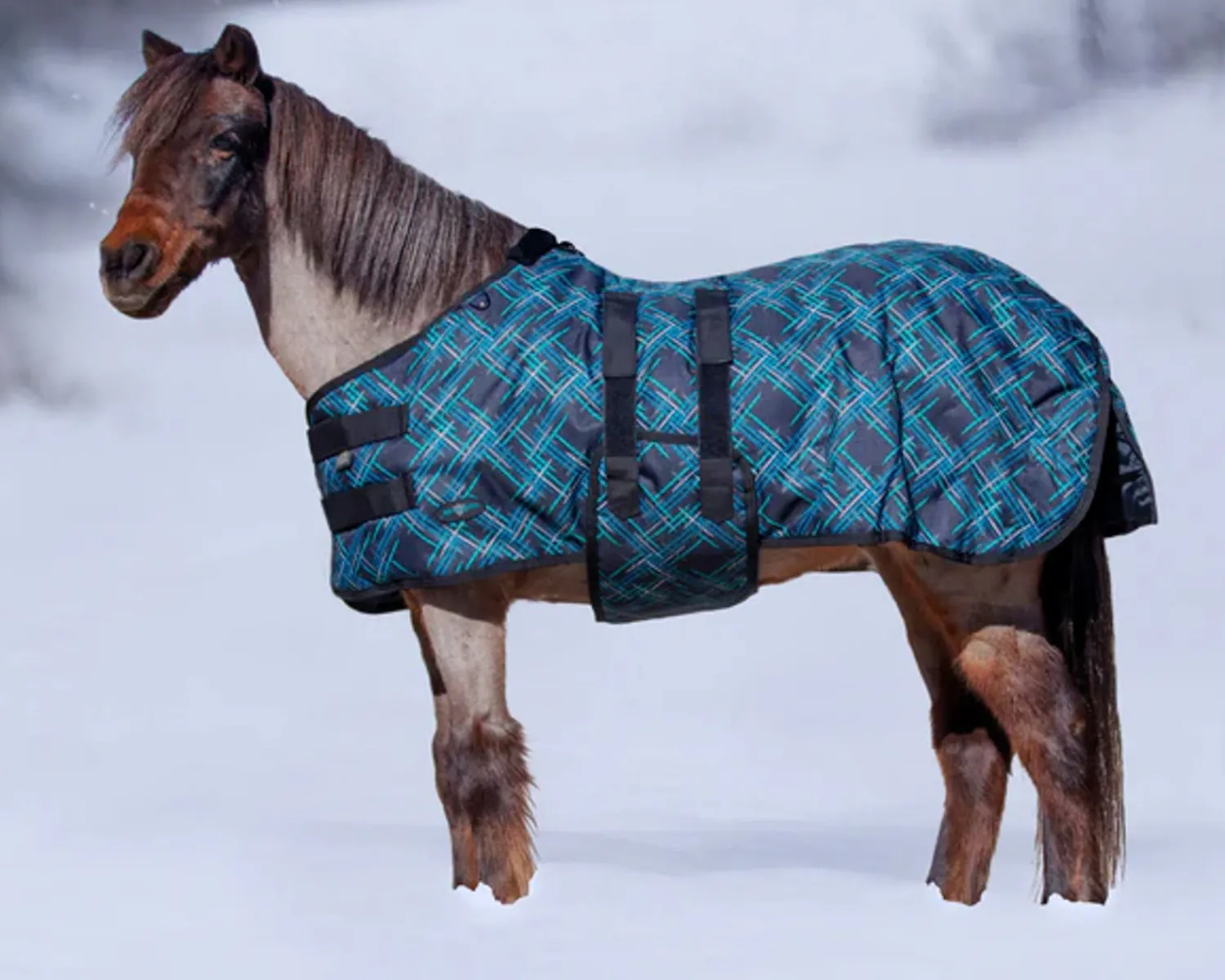 KENSINGTON ™ Signature Mini Medium-Weight Turnout Blanket